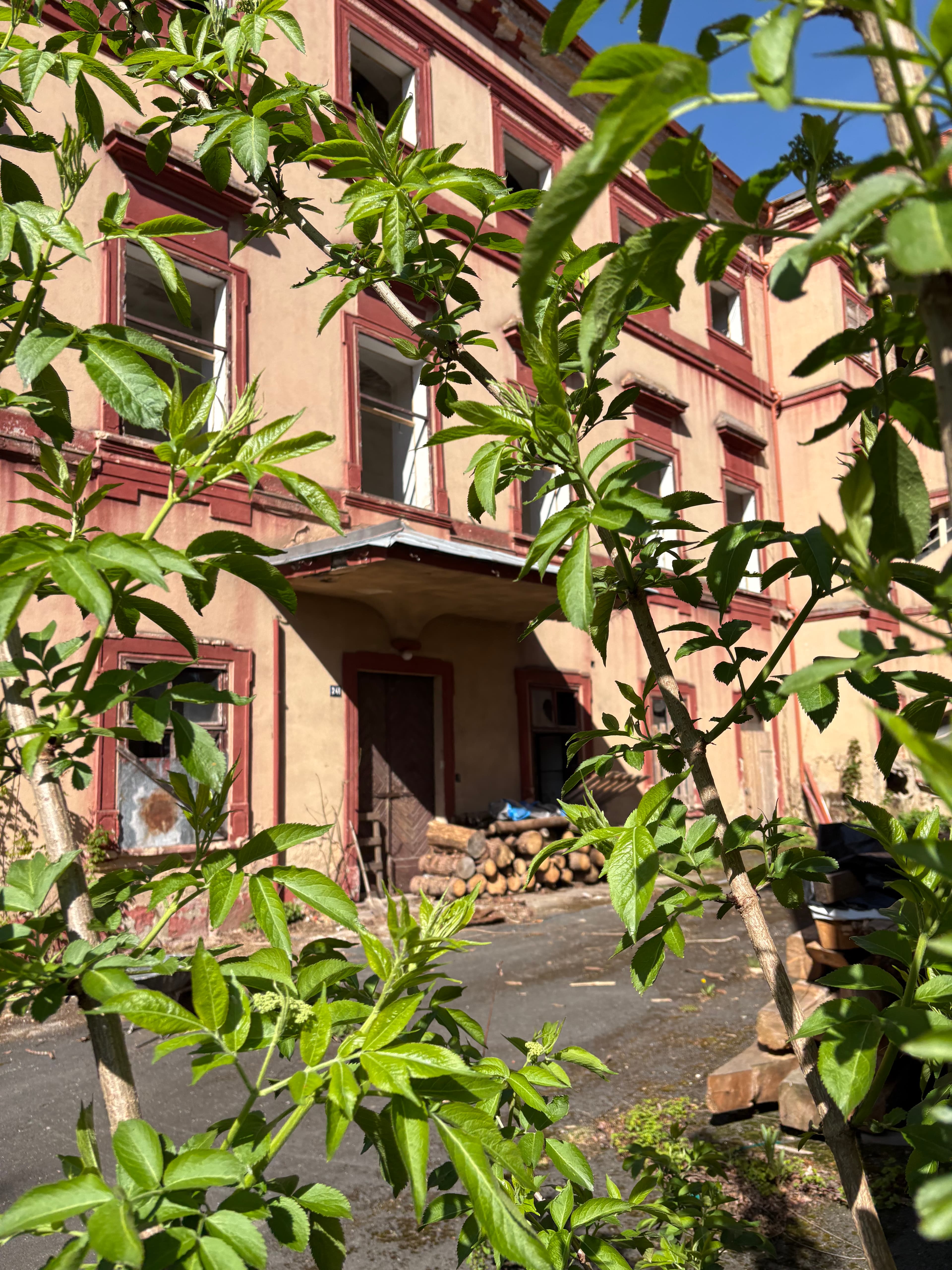 Plánský zámek - 2